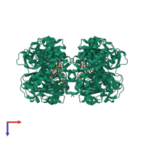 Homo tetrameric assembly 1 of PDB entry 4wlo coloured by chemically distinct molecules, top view.