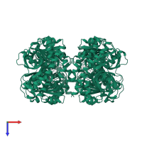 Malate dehydrogenase, mitochondrial in PDB entry 4wlo, assembly 1, top view.