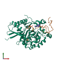 PDB entry 4wma coloured by chain, front view.