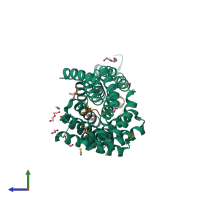 PDB entry 4wnd coloured by chain, side view.
