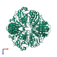 Glyceraldehyde-3-phosphate dehydrogenase in PDB entry 4wni, assembly 1, top view.