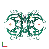 Homo tetrameric assembly 1 of PDB entry 4wns coloured by chemically distinct molecules, front view.