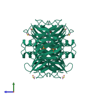 Homo tetrameric assembly 1 of PDB entry 4wns coloured by chemically distinct molecules, side view.