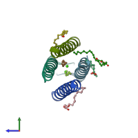 PDB entry 4wo1 coloured by chain, side view.