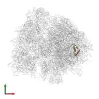 Large ribosomal subunit protein bL20 in PDB entry 4wq1, assembly 2, front view.