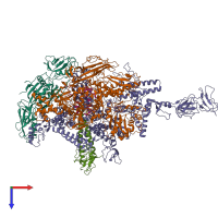 Hetero hexameric assembly 1 of PDB entry 4wqt coloured by chemically distinct molecules, top view.