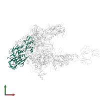 DNA-directed RNA polymerase subunit alpha in PDB entry 4wqt, assembly 1, front view.