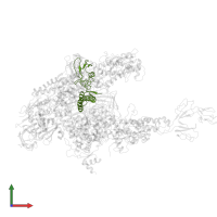 Transcription elongation factor GreA in PDB entry 4wqt, assembly 1, front view.