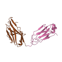 The deposited structure of PDB entry 4wuu contains 2 copies of CATH domain 2.60.40.10 (Immunoglobulin-like) in ESK1. Showing 2 copies in chain D.