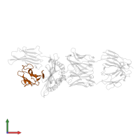 Beta-2-microglobulin in PDB entry 4wuu, assembly 1, front view.