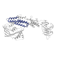 The deposited structure of PDB entry 4wvm contains 1 copy of Pfam domain PF21109 (Stonustoxin helical domain) in Stonustoxin subunit beta. Showing 1 copy in chain B.