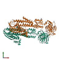 PDB entry 4wvm coloured by chain, front view.