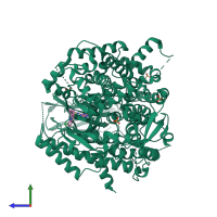 PDB entry 4wwo coloured by chain, side view.