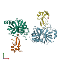 PDB entry 4wxv coloured by chain, front view.