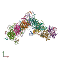 PDB entry 4wz7 coloured by chain, front view.