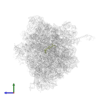 Messenger RNA in PDB entry 4wzo, assembly 1, side view.