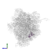 30S ribosomal protein S8 in PDB entry 4wzo, assembly 1, side view.