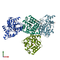 PDB entry 4x00 coloured by chain, front view.