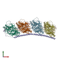 PDB entry 4x1i coloured by chain, front view.