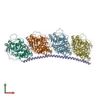 PDB entry 4x1k coloured by chain, front view.