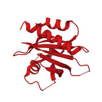 The deposited structure of PDB entry 4x1m contains 1 copy of CATH domain 3.30.450.30 (Beta-Lactamase) in Profilin-1. Showing 1 copy in chain A.