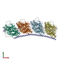 PDB entry 4x1y coloured by chain, front view.