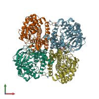 PDB entry 4x28 coloured by chain, front view.