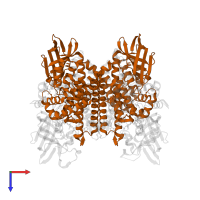 Acyl-CoA dehydrogenase FadE27 in PDB entry 4x28, assembly 1, top view.