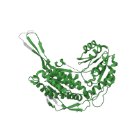 The deposited structure of PDB entry 4x2q contains 4 copies of Pfam domain PF00171 (Aldehyde dehydrogenase family) in Retinal dehydrogenase 2. Showing 1 copy in chain C.