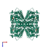 Homo tetrameric assembly 1 of PDB entry 4x2q coloured by chemically distinct molecules, top view.