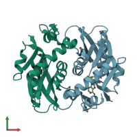 PDB entry 4x45 coloured by chain, front view.