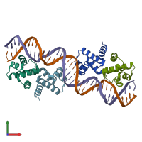 PDB entry 4x4d coloured by chain, front view.