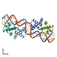 PDB entry 4x4e coloured by chain, front view.