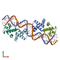 PDB entry 4x4f coloured by chain, front view.