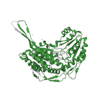 The deposited structure of PDB entry 4x4l contains 1 copy of Pfam domain PF00171 (Aldehyde dehydrogenase family) in Aldehyde dehydrogenase 1A1. Showing 1 copy in chain A.