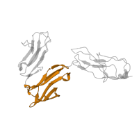 The deposited structure of PDB entry 4x4m contains 2 copies of Pfam domain PF13895 (Immunoglobulin domain) in High affinity immunoglobulin gamma Fc receptor I. Showing 1 copy in chain E.