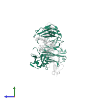 Immunoglobulin heavy constant gamma 1 in PDB entry 4x4m, assembly 2, side view.