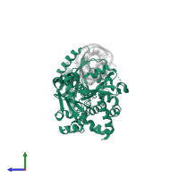 CCA-adding enzyme in PDB entry 4x4s, assembly 1, side view.