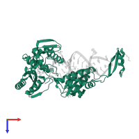 CCA-adding enzyme in PDB entry 4x4s, assembly 1, top view.