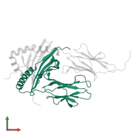 HLA class II histocompatibility antigen, DR alpha chain in PDB entry 4x5w, assembly 1, front view.