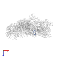 RNA (5'-D(P*GP*AP*CP*UP*(70U)P*UP*UP*(12A)P*AP*(PSU)P*C)-3') in PDB entry 4x64, assembly 1, top view.