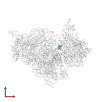 Modified residue 70U in PDB entry 4x66, assembly 1, front view.