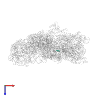 Modified residue 70U in PDB entry 4x66, assembly 1, top view.