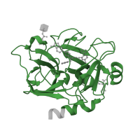 The deposited structure of PDB entry 4x6p contains 2 copies of Pfam domain PF00089 (Trypsin) in Coagulation factor XIa light chain. Showing 1 copy in chain A.