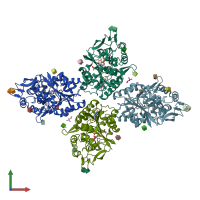 PDB entry 4x90 coloured by chain, front view.