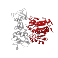 The deposited structure of PDB entry 4x97 contains 4 copies of CATH domain 3.40.50.1820 (Rossmann fold) in Phospholipase A2 group XV. Showing 1 copy in chain A.