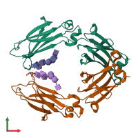 PDB entry 4x98 coloured by chain, front view.