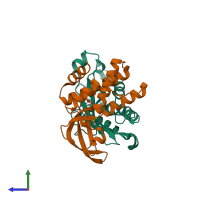 PDB entry 4xax coloured by chain, side view.