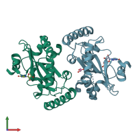 PDB entry 4xba coloured by chain, front view.