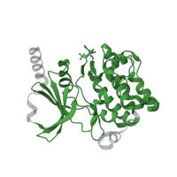 The deposited structure of PDB entry 4xbu contains 1 copy of Pfam domain PF00069 (Protein kinase domain) in Serine/threonine-protein kinase PAK 4. Showing 1 copy in chain A.